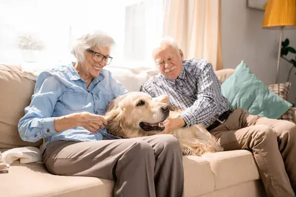 Moving to Senior Living with Pets: What You Should Know